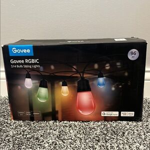 Govee RGBIC S14 Bulb String Lights
